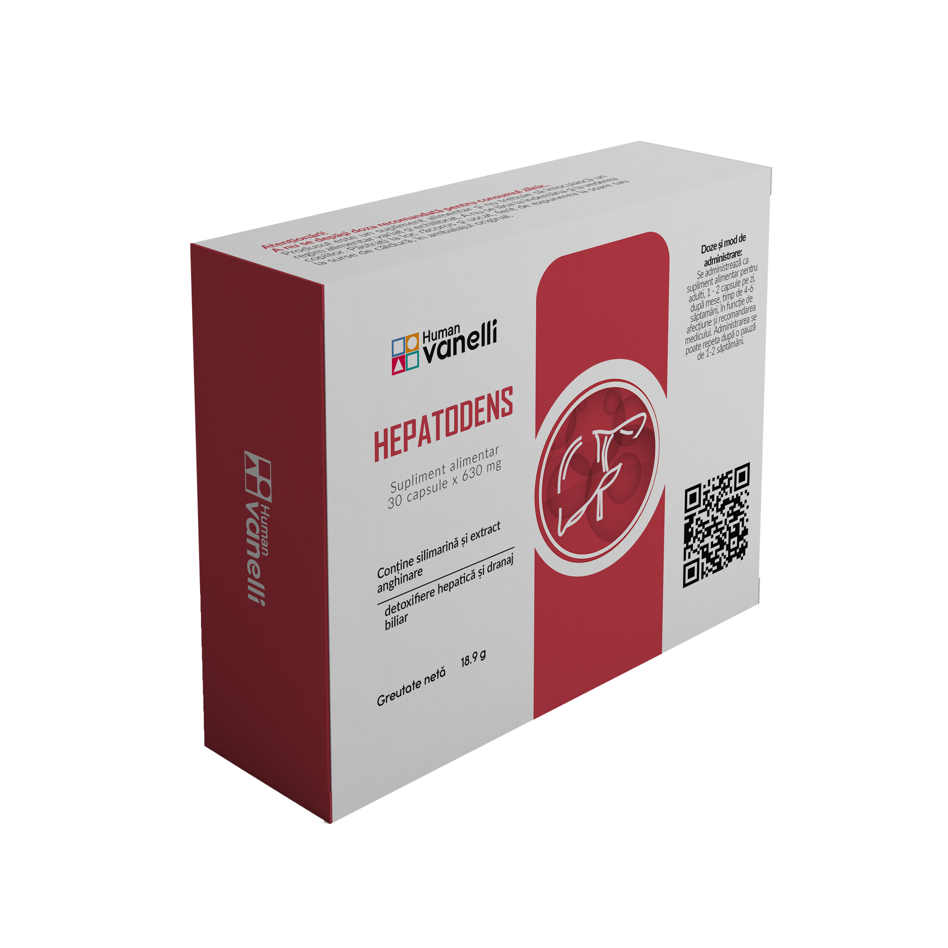 Hepatodens